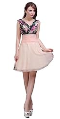 V-neck Cocktail Corset   Waistline Chiffon Lace-Up Party Dress 