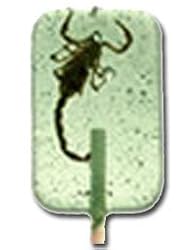 Scorpion Sucker- Apple
