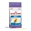 Royal Canin 55140 Light40 400g- Katzenfutter