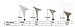 Msmushroom Woman's Fashion Pu Soft Dancing Shoes 4''heel,grey and Silver