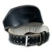 Body Building, weight Liftin Back support Belt 6 Paded  Genuine Cow Leather L/XL