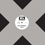Charly (Alley Cat Mix)