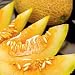 Organic Ein Dor Melon 25 Seeds