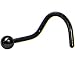 Black Ball Anodized Titanium Nose Ring