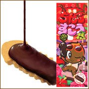 子宝と安産。子宝ちんこすこう南国チョコ味　【珍品堂】子宝ちんすこう