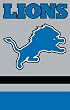 Detroit Lions Applique Embroidered Banner Flag 44"x28" NFL Football Fan Shop Sports Team Merchandise
