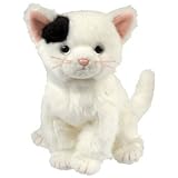 Buy TY Beanie Baby - DELILAH the Cat Knowing God: Walking through the Book of Books