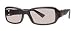 Fendi Sunglasses FS 446