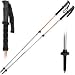 Black Diamond Syncline Trekking Pole