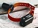 D.T. Systems Baritone Beeper Collar