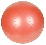 VIP 55cm Anti-Burst Exercise Ball