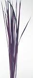 Tall Grass Stems Measure 48 in. Tall, Sold in Double Package of 50 - Various Colors - $9.99