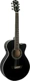 Wahsburn Festival Series EA10B Acoustic Guitar