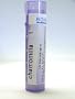 Boiron - Chamomilla 1M 80 plts