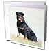 rottweiler30 - Dogs Rottweiler Rottweiler Greeting Cards12 Greeting Cards with