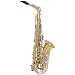 Bundy BAS-300 Student Alto Saxophone Outfit (Lacquer)