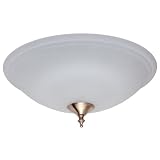 Hunter 28396 Energy Efficient Dual Bowl Light (30watt Circline Flourescent) Frosted by Hunter