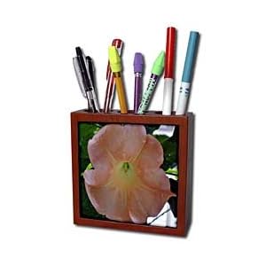 WhiteOak Photography Floral Prints - Macros Angel Trumpet An Orange Flower - Tile Pen Holders-5 inch tile pen holder
