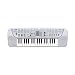 Musical Instruments : Mini-Size Keyboard