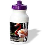 Birds - Flamingo - Water Bottles