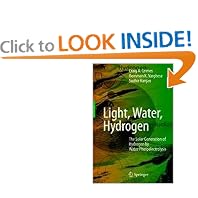Light, Water, Hydrogen: The Solar Generation of Hydrogen by Water Photoelectrolysis