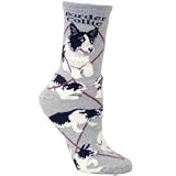 Border Collie Socks