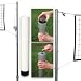 Sporting Goods : Outdoor Volleyball Set (SET)