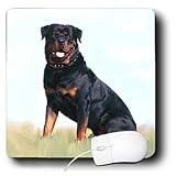 image link - - B002O1FDCS