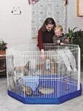 Pet Supplies : Marshall Pet Products Playpen Mat For Small Animals - FC-261