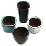31Wu5X XFwL. SL160  Happy Bonsai 4 Mini Glazed Pots