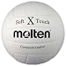 Sporting Goods : Molten Soft Touch Composite Indoor Volleyball