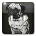 Dogs Pug - Pug - Light Switch Covers - double toggle switch