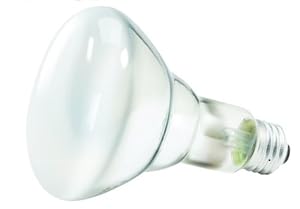 Philips 248872 Soft White 65-Watt BR30 Indoor Flood Light Bulb, 12-Pack