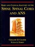 Basic and Clinical Anatomy of the Spine, Spinal Cord, and Ans