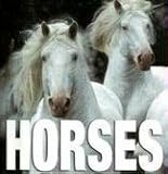 Horses (Minicube)