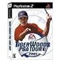 Tiger Woods PGA Tour 2001