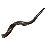 Shofars