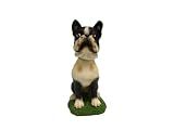 Mini Bobble Head Dog Boston Terrier