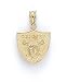 14k Polished Oakland Raiders Pendant