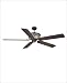 Tools & Hardware : The Salon Fiorentino Ceiling Fan - Ebony Finish