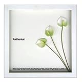 �s�t�����[�t���[���tF-style Frame Anthurium /white�i�A���X���E��/�z���C�g�j