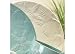 Fancy That Shell Dinner Plate