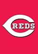 Cincinnati Reds Mini Garden Window Flag 15"x10.5" MLB Baseball Fan Shop Sports Team Merchandise