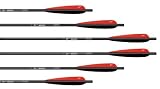 6-Pk. Carbon Express CX 20 Crossbow Bolts