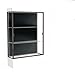 Edge Series Floor Display Case Case Backing: Black, Base Color: Frosty White, Frame Color: Dark Bronze