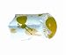 Safety 1st Soft Spout Cover