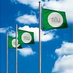 FAHNENMAST-KOMPL ETT-ALU-SET 639693