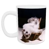 Cat flap - Mug