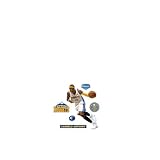 Carmelo Anthony Denver Nuggets Fathead Jr. Wall Decal