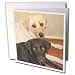 Dogs Labrador Retriever - Labrador Retriever - Greeting Cards-12 Greeting Cards with envelopes
